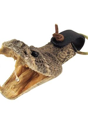 Treasure Gurus Eastern Diamondback Rattlesnake Head Keychain 100% Real Taxidermy Car Key Ring