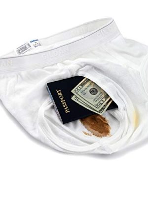 IGE Innovative Internet Products The Brief Safe Hidden Contents Travel Passport Wallet - Diversion Safe,White,Regular